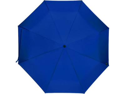 Дейн зонт 21 RPET, королевский синий