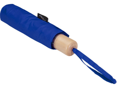 Дейн зонт 21 RPET, королевский синий