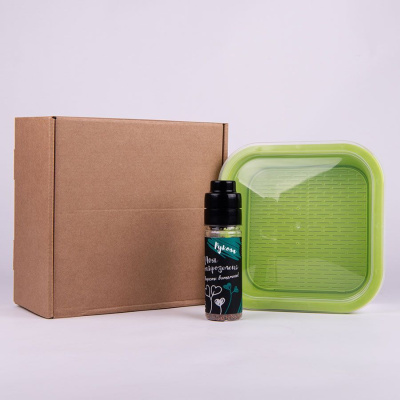 Подарочный комплект для проращивания микрозелени: проращиватель, семена руколы