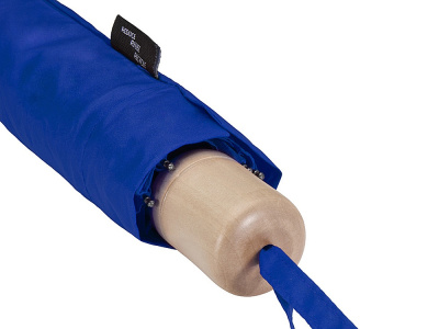 Дейн зонт 21 RPET, королевский синий