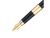 Ручка 2 в 1 шариковая и перьевая Pierre Cardin COMBI PEN, цвет - черный. Упаковка Е Ручка 2 в 1 шариковая и перьевая Pierre Cardin COMBI PEN, цвет - черный. Упаковка Е