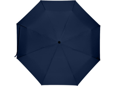Дейн зонт 21 RPET, темно-синий