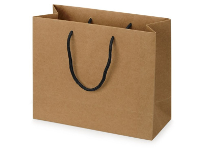 Пакет подарочный Kraft M, 30x25x12 см , размер M