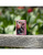 Зажигалка ZIPPO Mazzi® Anaconda с покрытием Pink Matte, латунь/сталь, розовая, матовая, 38x13x57 м