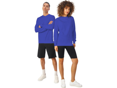 Свитшот Warsaw 220гр, унисекс, кл. синий , размер XS