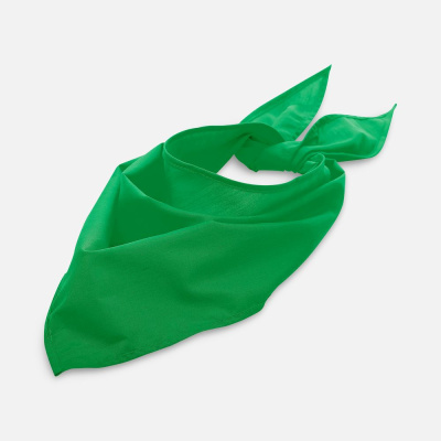 Шейный платок Bandana