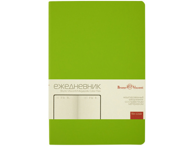 Ежедневник недатированный А5 Megapolis Color Flex New, салатовый
