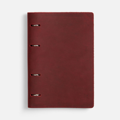 Ежедневник inStream, недатированный