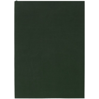 Ежедневник Flat Light, недатированный