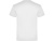 Футболка Teckel мужская, белый , размер XL