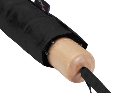 Дейн зонт 21 RPET, черный