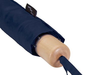 Дейн зонт 21 RPET, темно-синий