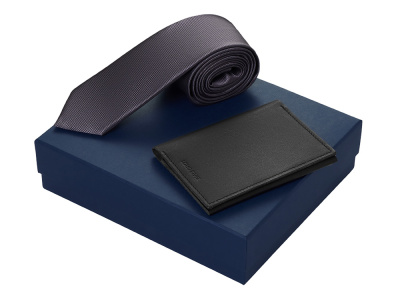 Подарочный набор Long River: обложка для паспорта, галстук, синяя коробка , размер С лого