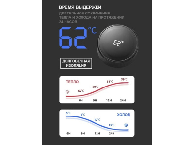 Термос с индикатором температуры LEMARK (Чёрный)