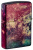 Зажигалка ZIPPO Galaxy Skull с покрытием 540 Tumbled Brass, латунь/сталь, разноцветная, 38x13x57 мм