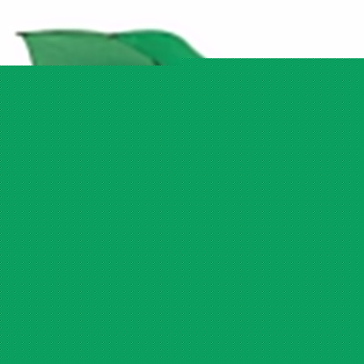 Зонт-трость HALRUM,  полуавтомат, зеленый, D=105 см, полиэстер, пластик