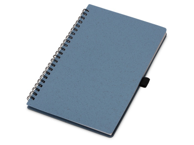 Блокнот А5 Toledo M, синий + ручка шариковая Pianta из пшеничной соломы, синий , размер A5