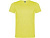 Футболка Akita мужская, неоновый желтый , размер 2XL