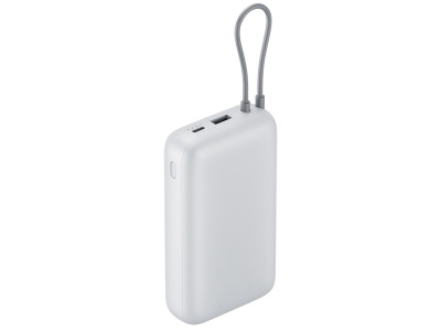 Внешний аккумулятор с встроенным кабелем Xiaomi Power Bank 20000mAh (Integrated Cable) GL Light Gray