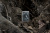 Зажигалка ZIPPO Grim Beauty с покрытием Street Chrome, латунь/сталь, серебристая, матовая, 38x13x57 мм