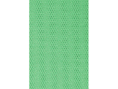 Сумка из спанбонда Overy, зеленое яблоко