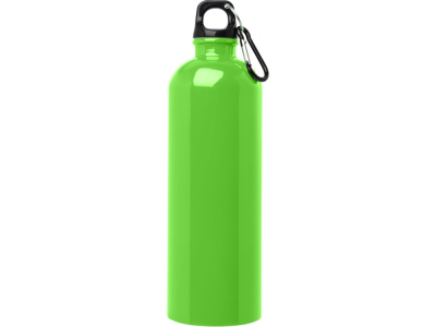 Одностенная бутылка для воды с карабином Oregon, изготовленная из нержавеющей стали, сертифицированной по стандарту RCS, объемом 750 мл - Зеленое яблоко , размер 750 мл