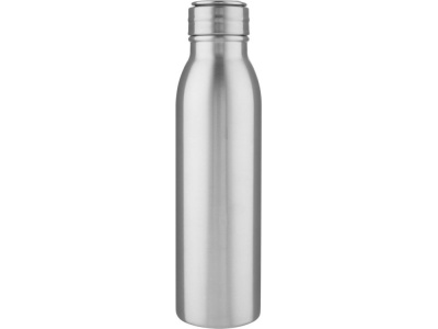 Harper, спортивная бутылка из нержавеющей стали объемом 700 мл с металлической петлей, серебристый