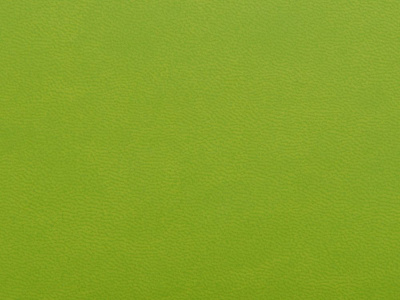 Блокнот А6 Riner, зеленое яблоко