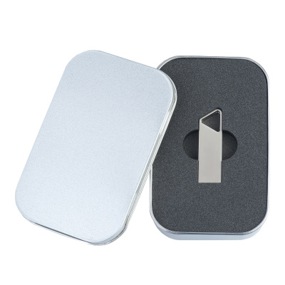 Упаковка для флешки IRON, малая с ложементом (без окна) Серебристая 2092.06