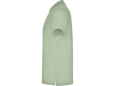 Рубашка поло Star мужская, припыленный зеленый , размер 3XL