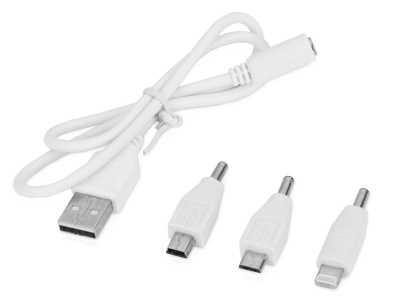 Подарочный набор Flashbank с флешкой и зарядным устройством, белый , размер 8ГБ