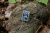 Зажигалка ZIPPO Animal Kingdom Design с покрытием Satin Chrome, латунь/сталь, серебристая, матовая, 38x13x57 мм