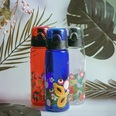 Бутылка для воды FLASK, 800 мл; 25,2х7,7см, прозрачный, пластик