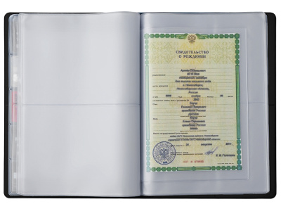 Органайзер Favor 2.0 для семейных документов на 4 комплекта документов, формат А4, черный