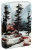 Зажигалка ZIPPO Frozen Valley с покрытием 540 Matte, латунь/сталь, разноцветная, матовая, 38x13x57 мм