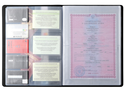 Органайзер Favor 2.0 для семейных документов на 4 комплекта документов, формат А4, черный