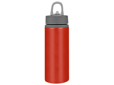 Бутылка для воды Rino 660 мл, красный