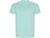 Футболка Golden мужская, ментоловый , размер S